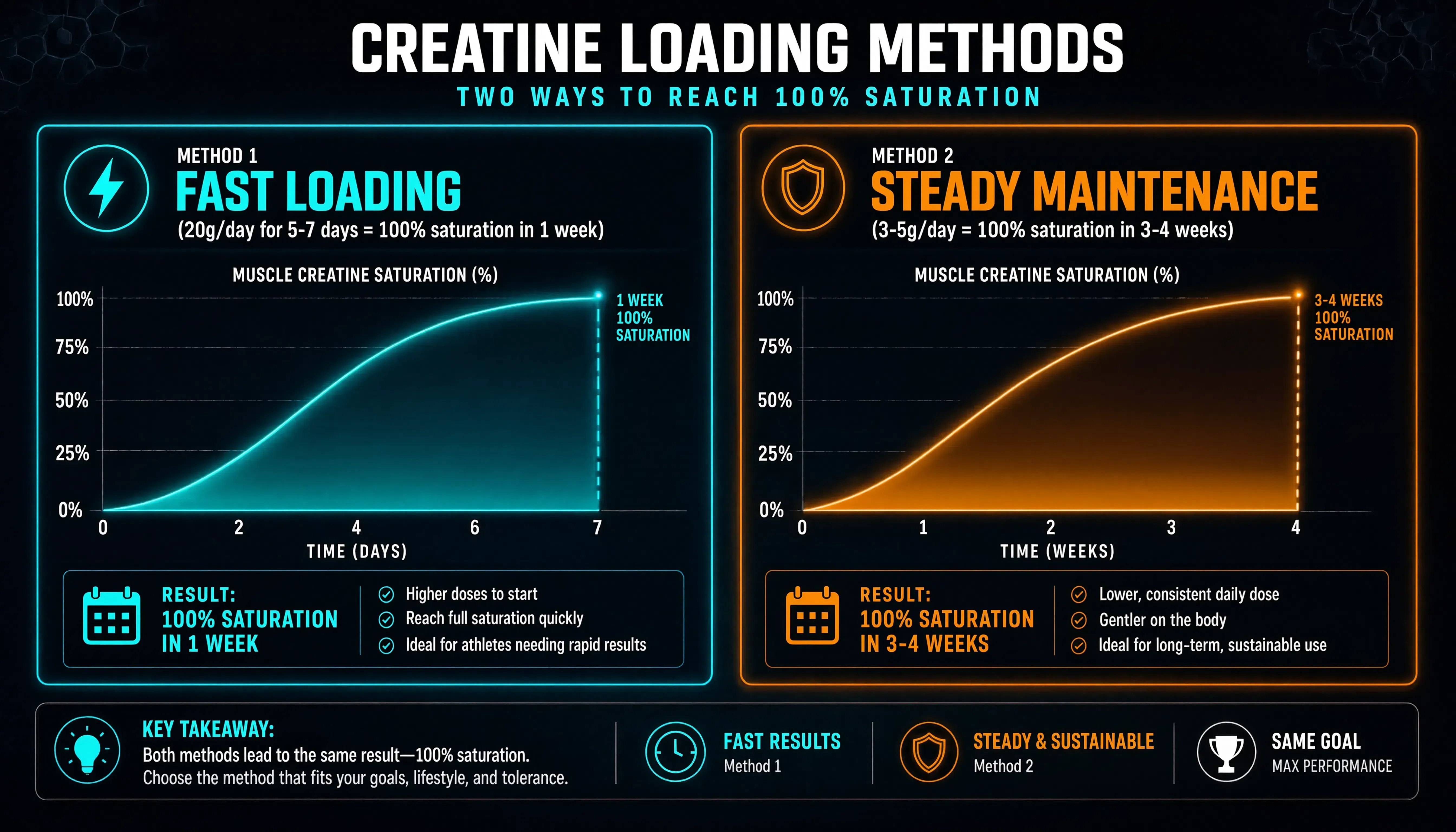 Creatine loading phase versus steady 5g daily protocol comparison